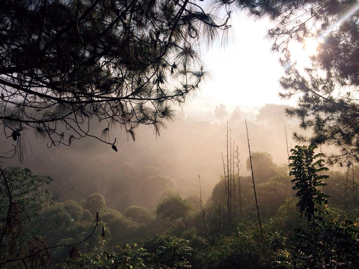 Ruth'S Bed & Breakfast Lembang Luaran gambar